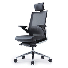 EX21-HEZ Meshback - Meshback Leather Seat High Back